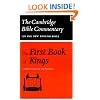 The First Book of Kings (Cambridge Bible Commentaries on the Old Testament)