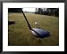 Golfer Hitting Golf Ball Framed Art Poster Print by Chuck Carlton, 31x25