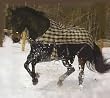 TuffRider Pony Plaid Turnout Sheet 600D