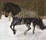 Tuf Pony Plaid Turnout Sheet 600D 60" (146-264)