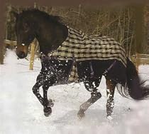 TuffRider Pony Plaid Turnout Sheet 600D TuffRider Pony Plaid Turnout Sheet 600D