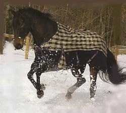 TuffRider 600D Pony Turnout Sheet