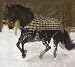 TuffRider 600D Pony Turnout Sheet