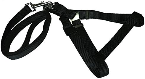 Dog Halter Harness and Leash Set By Zone 70 (Black, Large)