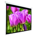 Mustang Manual 4:3 84-Inch Diagonal Video Projector Screen