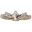 U.S. Navy Surface Warfare Pin Pewter 2 3/4"