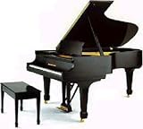 7'1 Semi-Concert Grand Piano (Ebony Polish)