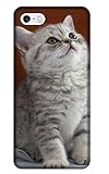 Guo Dion Cute Cat Cell Phone Case For Iphone 5