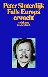 Falls Europa erwacht: Gedanken zum Programm einer Weltmacht am Ende des Zeitalters ihrer politischen Absence - Peter Sloterdijk