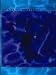 Book Mind as Motion: Explorations in the Dynamics of Cognition
