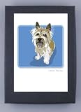 Paper Russells Cairn Terrier Boxed Note Cards - Eco-Friendly from the USA