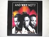 And Why Not The Face 7" Island IS444 EX/EX 1990 picture sleeve with sticker