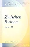 Zwischen Ruinen: Band 2 (German Edition)