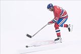 McFarlane Toys NHL Sports Picks Series 5 Action Figure:Saku Koivu (Montreal Canadiens) Red Jersey
