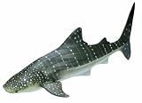 Schleich Whale SharkIMAGE