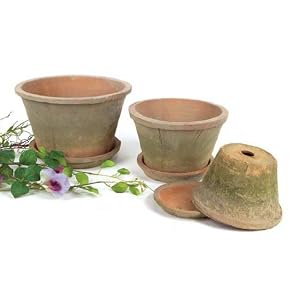 Club Pack of 12 Secret Enchanted Garden Mossy Terracotta Planter Pots w Saucers by CC Home Furnishings