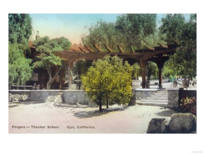 41DCyhtY vL Thacher School Pergola View   Ojai, CA Stretched Canvas Poster Print, 24x32