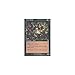 Magic: the Gathering - Vine Trellis - Mercadian Masques