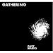 Search : Gathering [Vinyl]