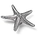 Laurey Oceana Knob - Starfish - Silverado