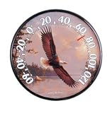 12.5" Eagle Thermometer By James Hautman