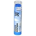 Boiron Homeopathic Medicine Arnica Montana, 30C Pellets, 80-Count Tubes (Pack of 5)