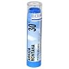 Boiron Homeopathic Medicine Arnica Montana, 30C Pellets, 80-Count Tubes (Pack of 5)