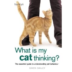 What is My Cat Thinking?