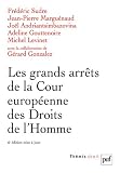 Les grands arr�ts de la Cour europ�enne des Droits de l'Homme