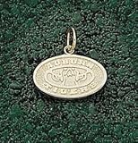 Anderson Jewelry Auburn Tigers Tiger Eye Logo 3/8 Gold Charm