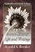 Search : Menno Simons' Life and Writings: A Quadricentennial Tribute 1536-1936