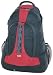 Wenger Pathfinder II Technical Day Back Pack