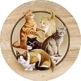 Killen's Cats Sandstone Thirstystone Coasters