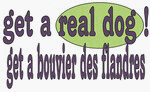 get a real dog! Get a bouvier des flandres Apron