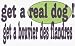 get a real dog! Get a bouvier des flandres 11 oz. White Mug