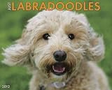 (Just Labradoodles (2012)) By Willow Creek Press (Author) Other on (07 , 2011)