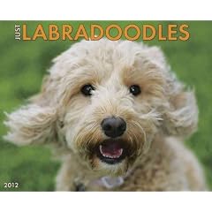 (Just Labradoodles (2012)) By Willow Creek Press (Author) Other on (07 , 2011)