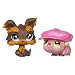 Littlest Pet Shop Pet Pairs Yorki & Guinea Pig
