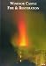 Windsor Castle Fire and Restoration bij Boeken bij de naam: 41DDSVA12PL._SL75_