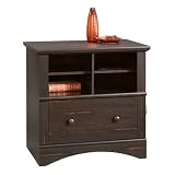 Sauder Harbor View Lateral Antiqued Paint