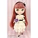 BLYTHE �u���C�X SHOP����h�[�� ���F���j�J���[�X