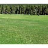 ���i�̏ڍ�