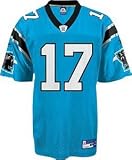Jake Delhomme Carolina Panthers Replica Youth Alternate Color NFL Jersey
