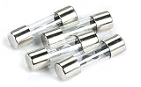 StreetWires AGU Type Glass Fuses 4-pack of fuses 40-amp
