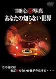 THE ����̿��֤��ʤ����Τ�ʤ�������  [DVD]