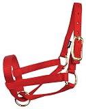 Llama Halters: Blue: Full