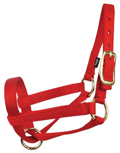 Llama Halters: Blue: Full