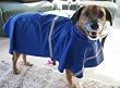 Dog Rain Coat - Blue w/Reflective Stripe - XX-Large (XXL)