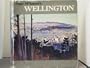 Peter McIntyre's Wellington