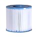 QCA Spas Cartridge Filter - 10 sq. ft.